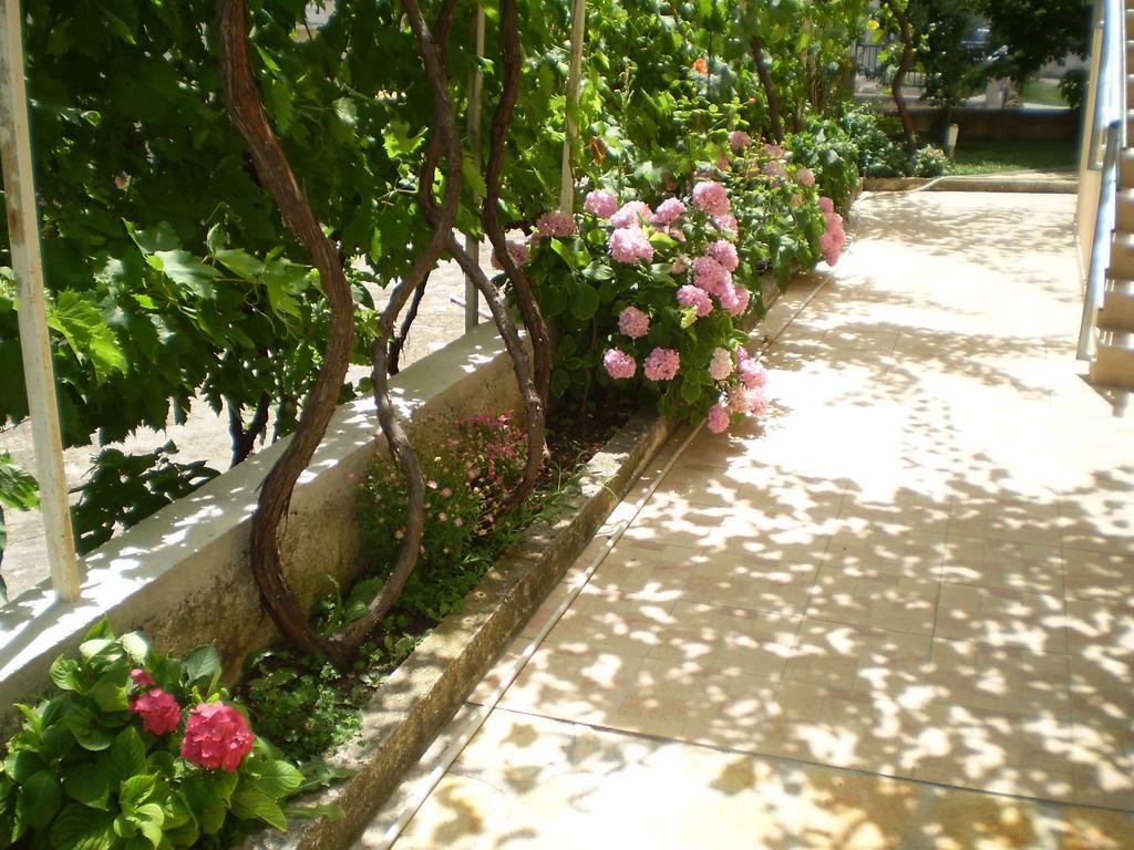 Apartments Tare, Free Parking Vodice Værelse billede